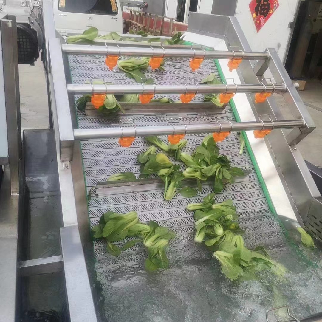 毛豆净菜加工设备 滚筒式气泡清洗机 白菜清洗加工流水线图3