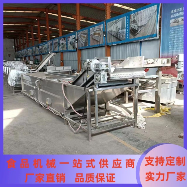 大型商用蔬菜清洗流水线 果蔬气泡清洗机 餐厅洗菜机 净菜加工设备图3