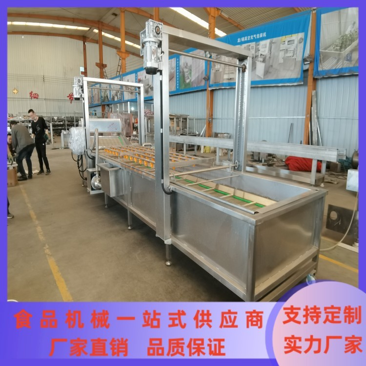 大型商用蔬菜清洗流水线 果蔬气泡清洗机 餐厅洗菜机 净菜加工设备图2