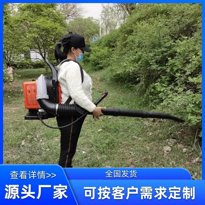 厂家生产批发大功率背负道路吹风机 风力灭火机森林灭火机吹雪机图3