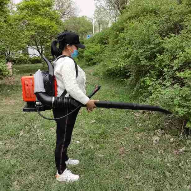厂家生产批发大功率背负道路吹风机 风力灭火机森林灭火机吹雪机图4