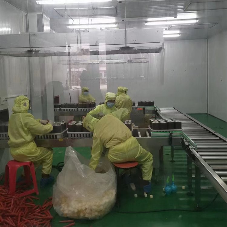 食用菌专用设备 动力滚筒输送机 金万捷 食用菌输送线图5