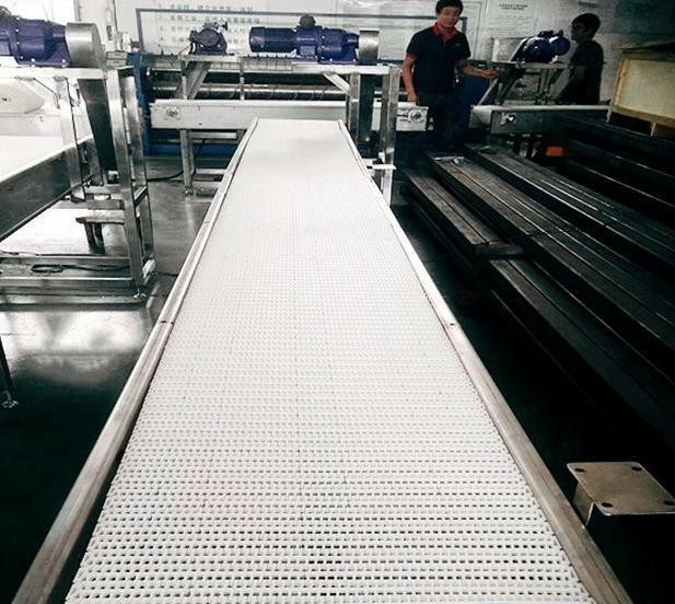 塑料链板线 不锈钢链板输送线 自动化流水线 皮带线定制厂家图2