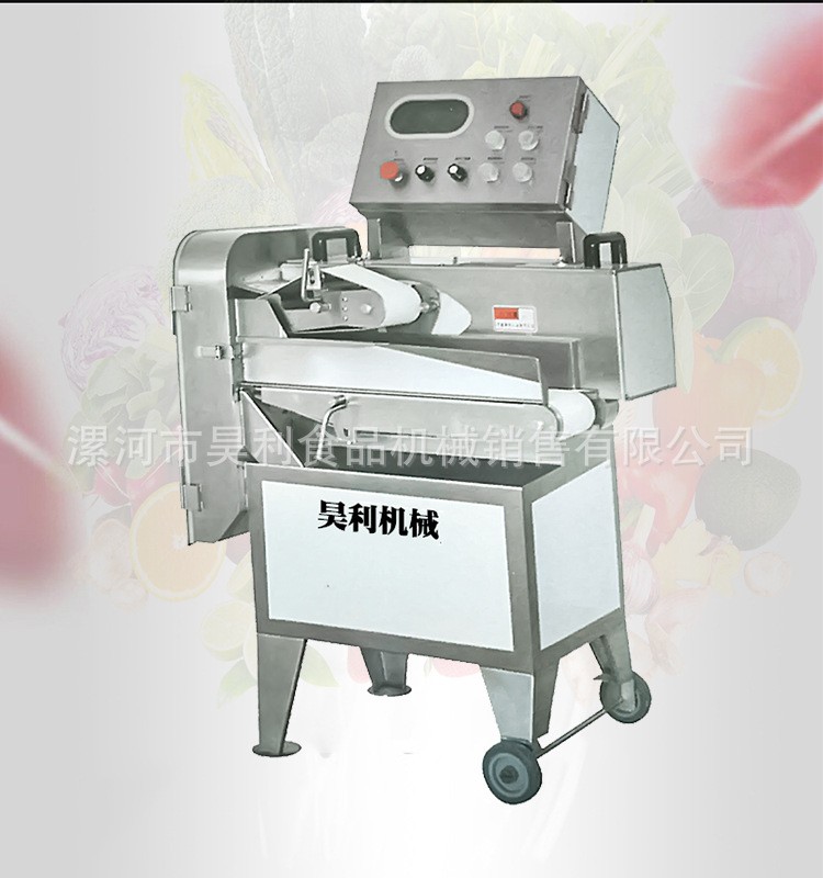 120型快拆叶茎切菜机 切菜机厂家直供【单头切菜机价格】图4