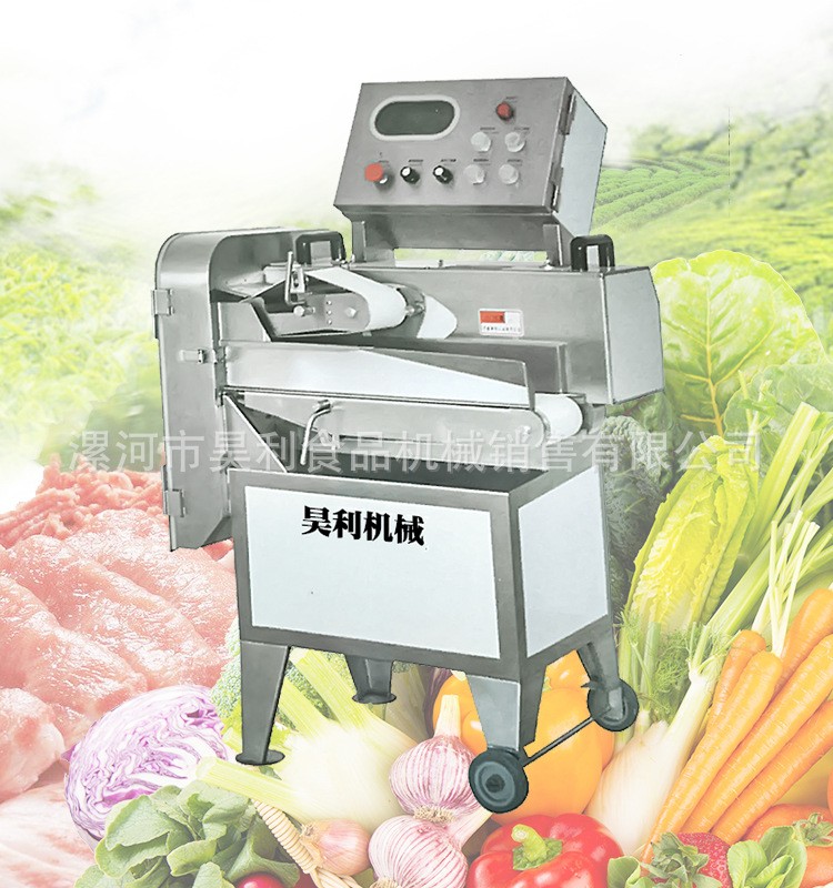 120型快拆叶茎切菜机 切菜机厂家直供【单头切菜机价格】图2