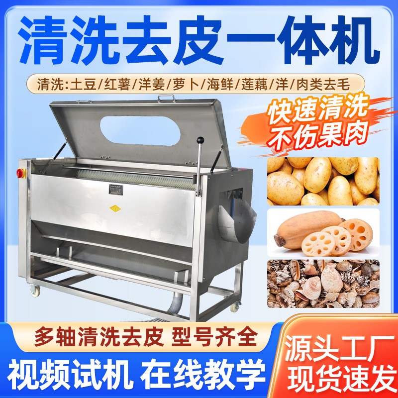 毛刷土豆去皮机商用红薯连藕芋头海鲜毛棍清洗机多功能清洗脱皮机图2