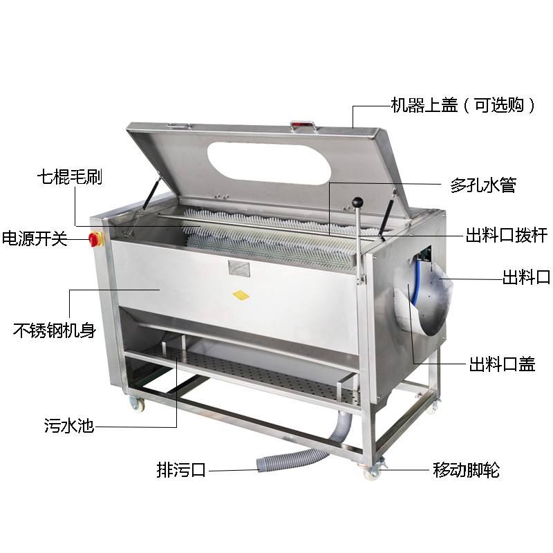 毛刷土豆去皮机商用红薯连藕芋头海鲜毛棍清洗机多功能清洗脱皮机图4