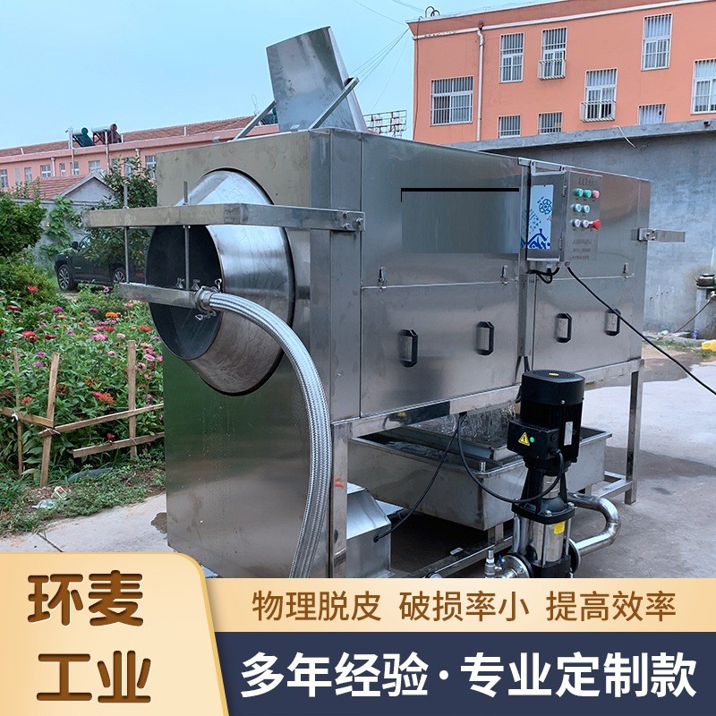 物理摩擦核桃仁去皮机 免浸泡核仁脱皮机 坚果核桃仁加工设备图3