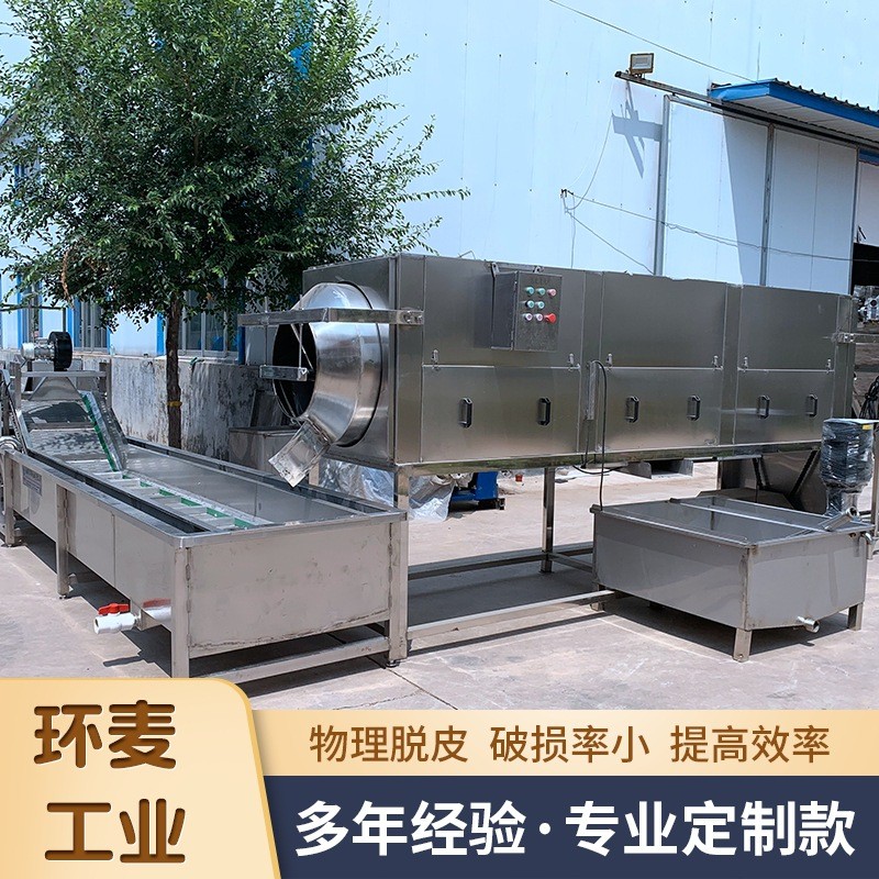 物理摩擦核桃仁去皮机 免浸泡核仁脱皮机 坚果核桃仁加工设备图4