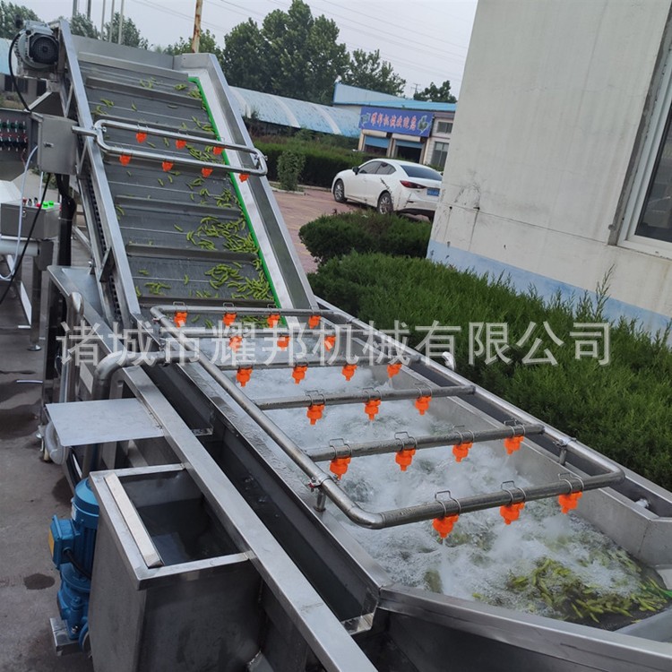 全自动毛豆清洗机 全套工厂用毛豆加工设备 洗毛豆机器图2