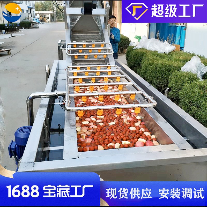 气泡水果草莓清洗机 瓜果西红柿桃子苹果清洗设备 枇杷果洗果机