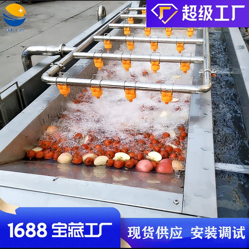 气泡水果草莓清洗机 瓜果西红柿桃子苹果清洗设备 枇杷果洗果机图3