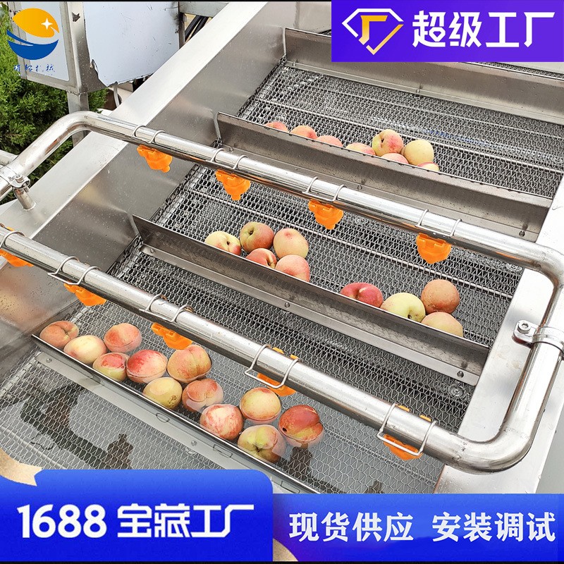 气泡水果草莓清洗机 瓜果西红柿桃子苹果清洗设备 枇杷果洗果机图4