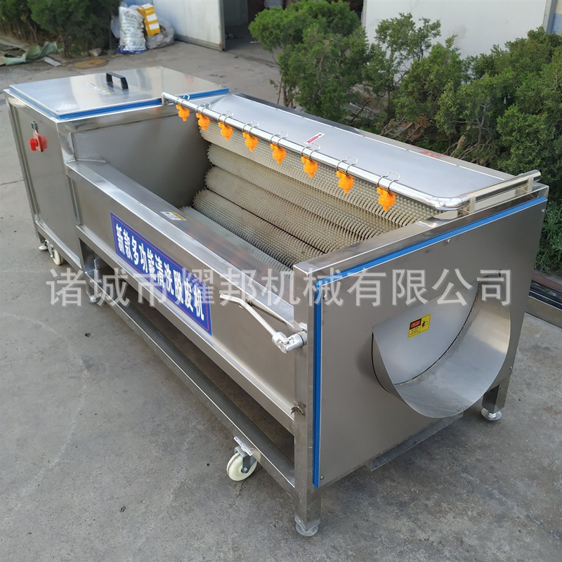 全自动毛刷土豆清洗机 毛辊红薯土豆清洗去皮机 工业大 型洗姜机图3