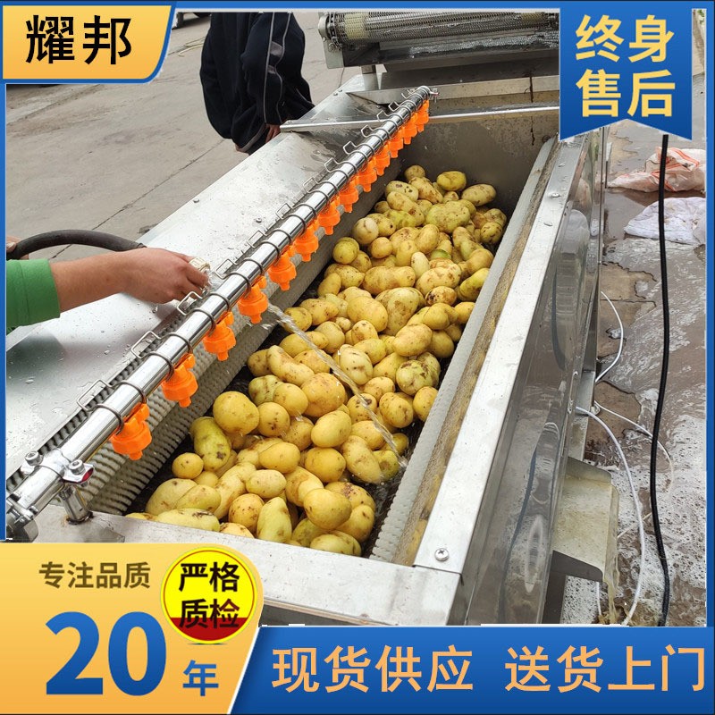 全自动毛刷土豆清洗机 毛辊红薯土豆清洗去皮机 工业大 型洗姜机