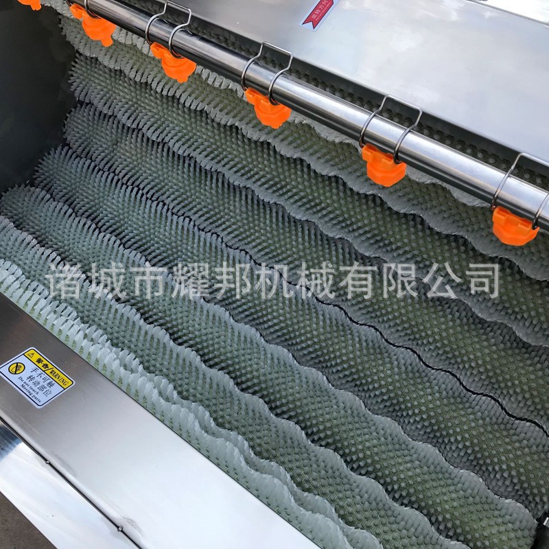 全自动毛刷土豆清洗机 毛辊红薯土豆清洗去皮机 工业大 型洗姜机图4