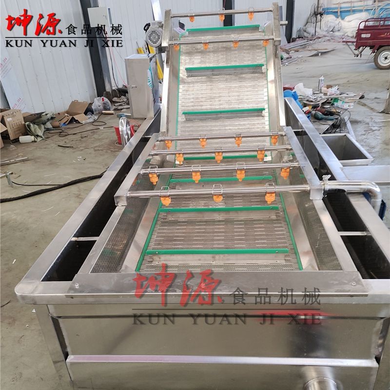 新款全自动喷淋式大型水果蔬菜高压清洗机酱菜脱盐机 气泡清洗机图2