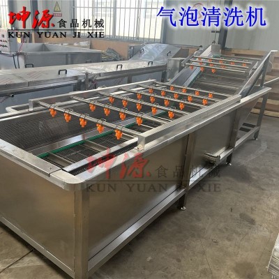 新款全自动喷淋式大型水果蔬菜高压清洗机酱菜脱盐机 气泡清洗机
