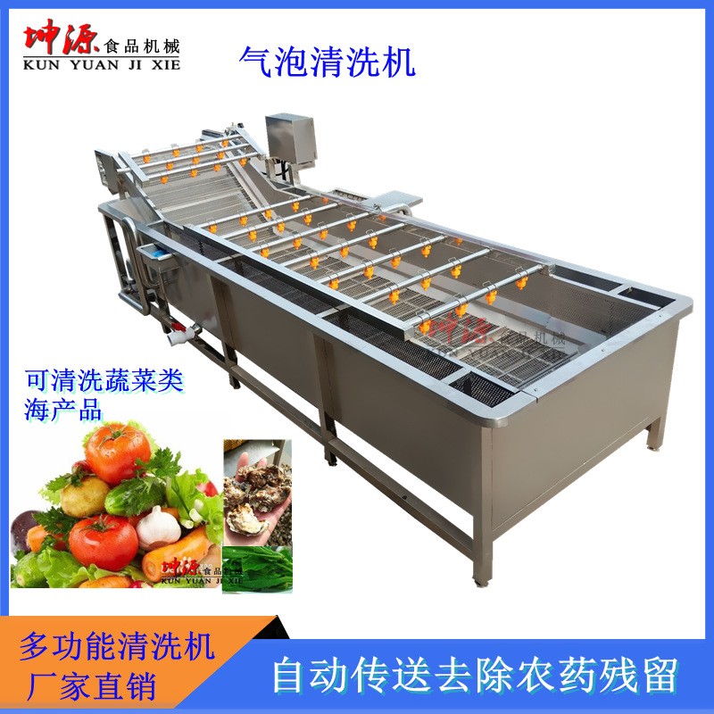 新款全自动喷淋式大型水果蔬菜高压清洗机酱菜脱盐机 气泡清洗机图4
