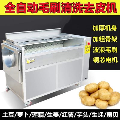 全自动毛辊清洗机花生红薯芋头生姜土豆清洗去泥去皮机生蚝清洗机