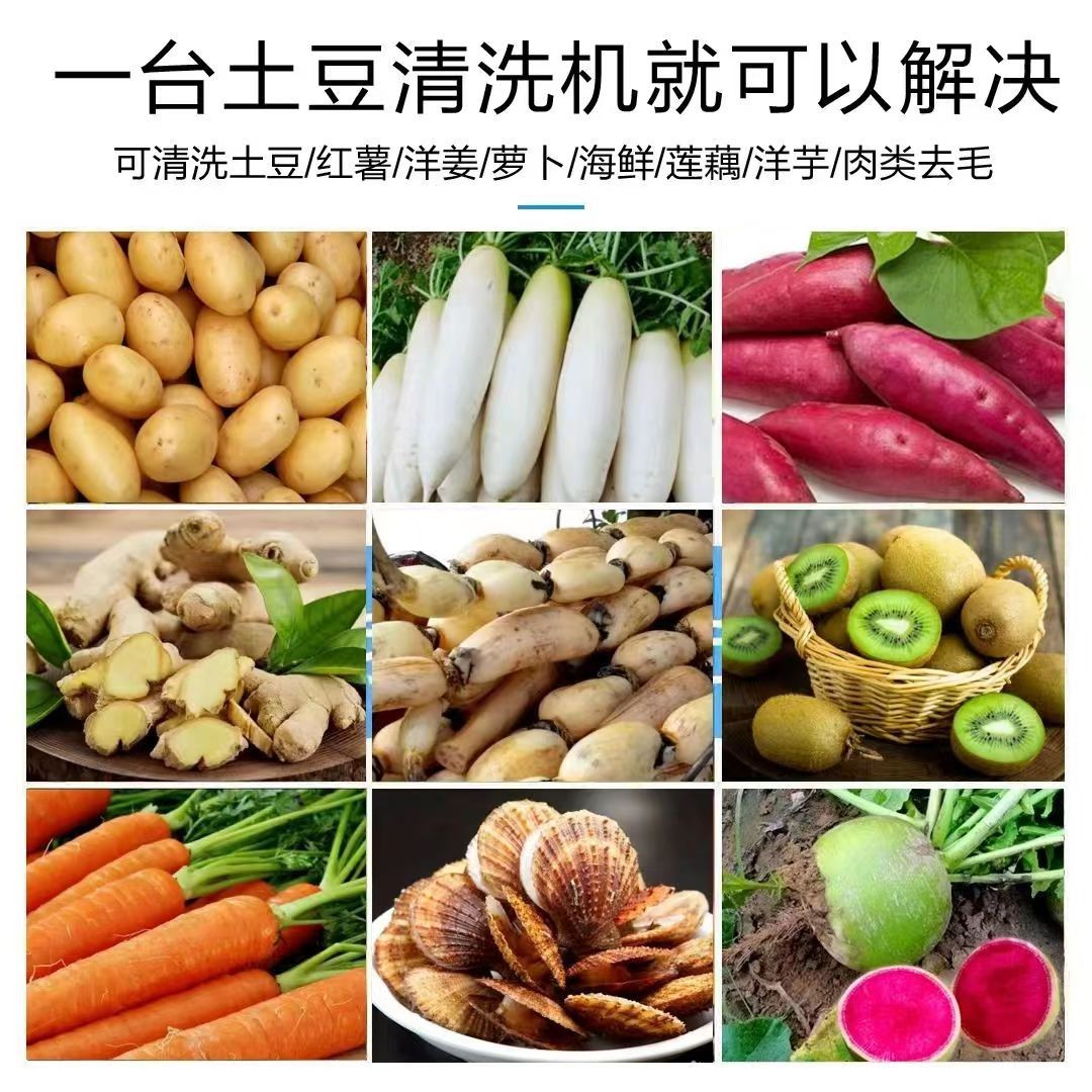 全自动毛辊清洗机花生红薯芋头生姜土豆清洗去泥去皮机生蚝清洗机图3