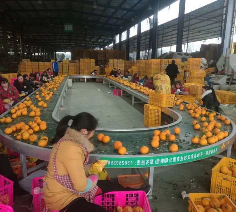 不锈钢环形传送机 输送机设备 食品饮料水果装箱物流传送 支持定制图2