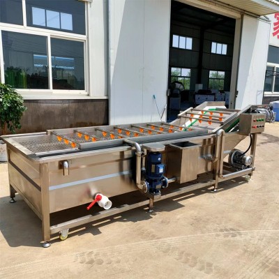 厂家直供全自动蔬菜果蔬气泡清洗机山野菜大型清洗设备海鲜去泥沙