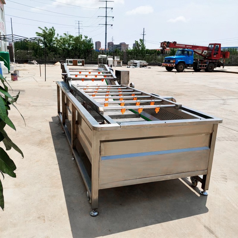 厂家直供全自动蔬菜果蔬气泡清洗机山野菜大型清洗设备海鲜去泥沙图2