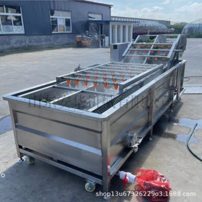 厂家供应果蔬气泡清洗机 西红柿辣椒洗菜机 不锈钢喷淋式清洗设备