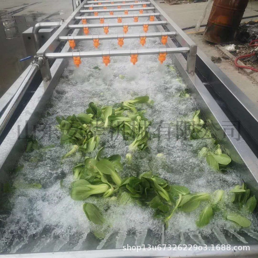 厂家供应果蔬气泡清洗机 西红柿辣椒洗菜机 不锈钢喷淋式清洗设备图3