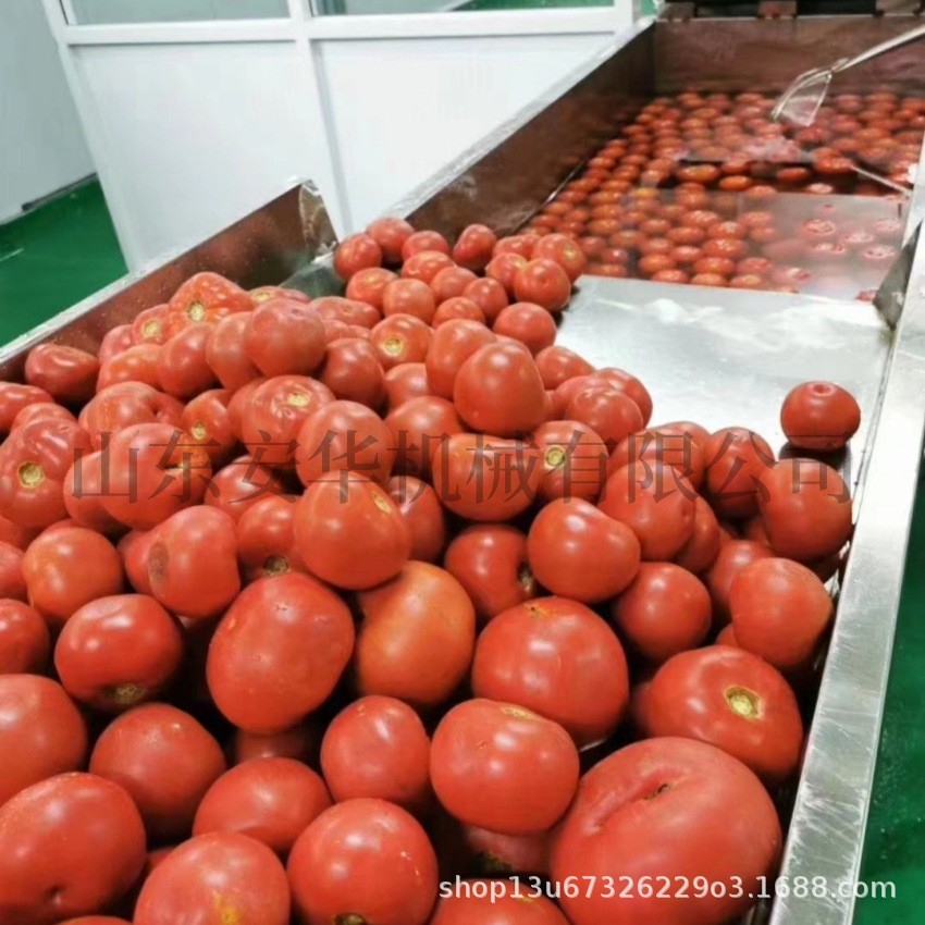 厂家供应果蔬气泡清洗机 西红柿辣椒洗菜机 不锈钢喷淋式清洗设备图4