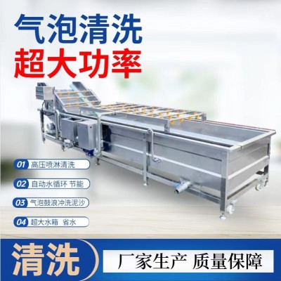 全自动气泡清洗机 辣椒大枣果蔬清洗机 商用大型银耳玉米清洗设备