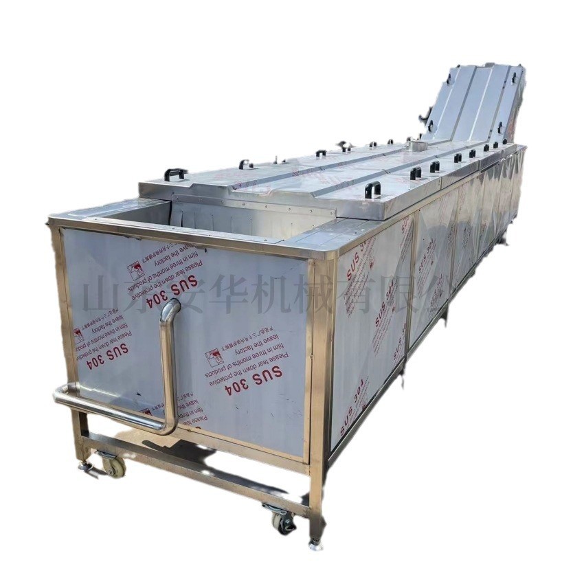 全自动气泡清洗机 辣椒大枣果蔬清洗机 商用大型银耳玉米清洗设备图3