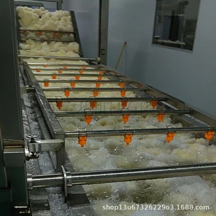 全自动气泡清洗机 辣椒大枣果蔬清洗机 商用大型银耳玉米清洗设备图2