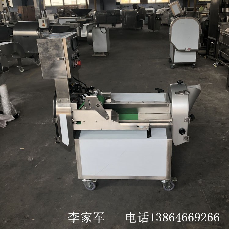 不锈钢果蔬切菜机 多功能切菜机 商用蔬菜瓜果切片切丁机图4