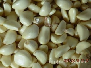 商用蒜瓣剥皮机 不锈钢干式大蒜剥皮机小型大蒜去皮机图5