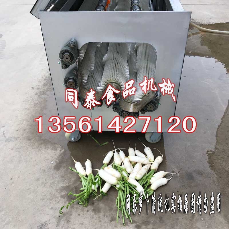 多功能柑橘清洗机 全自动洗白萝卜机器 脐橙柑桔赣橙水洗机抛光机图4