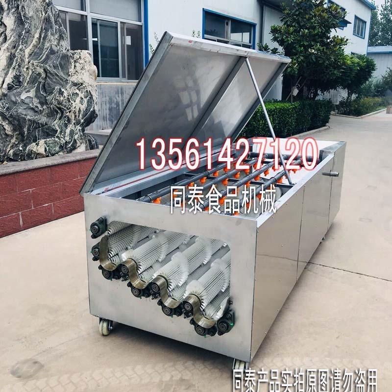 多功能柑橘清洗机 全自动洗白萝卜机器 脐橙柑桔赣橙水洗机抛光机图3