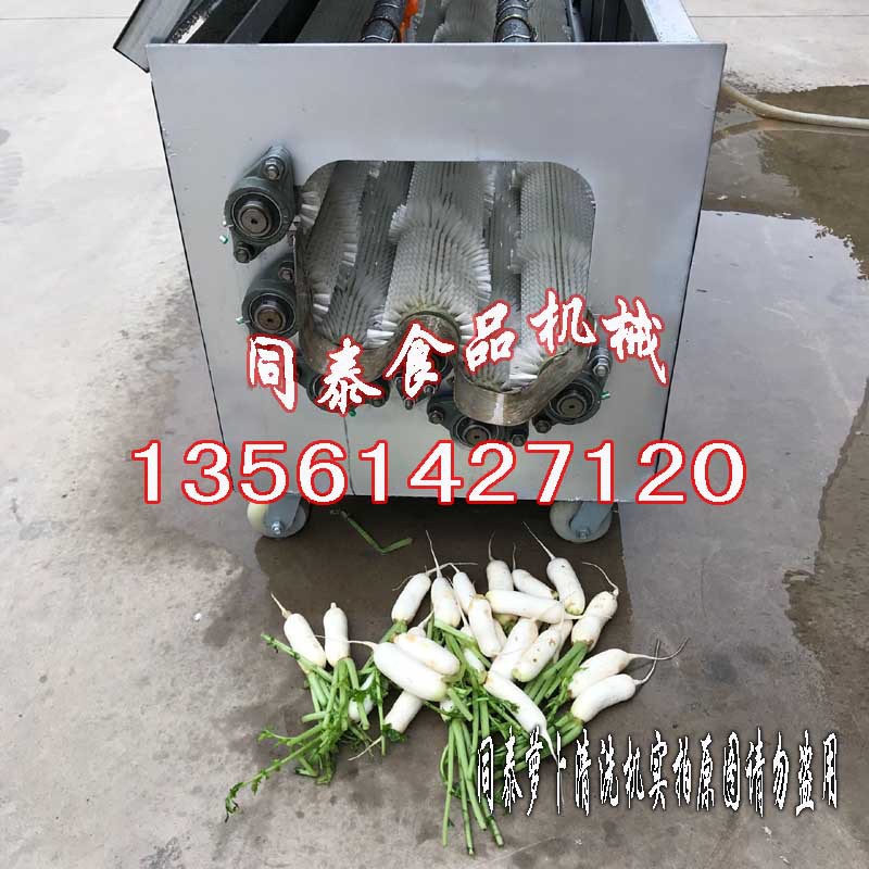 韩国小萝卜清洗机