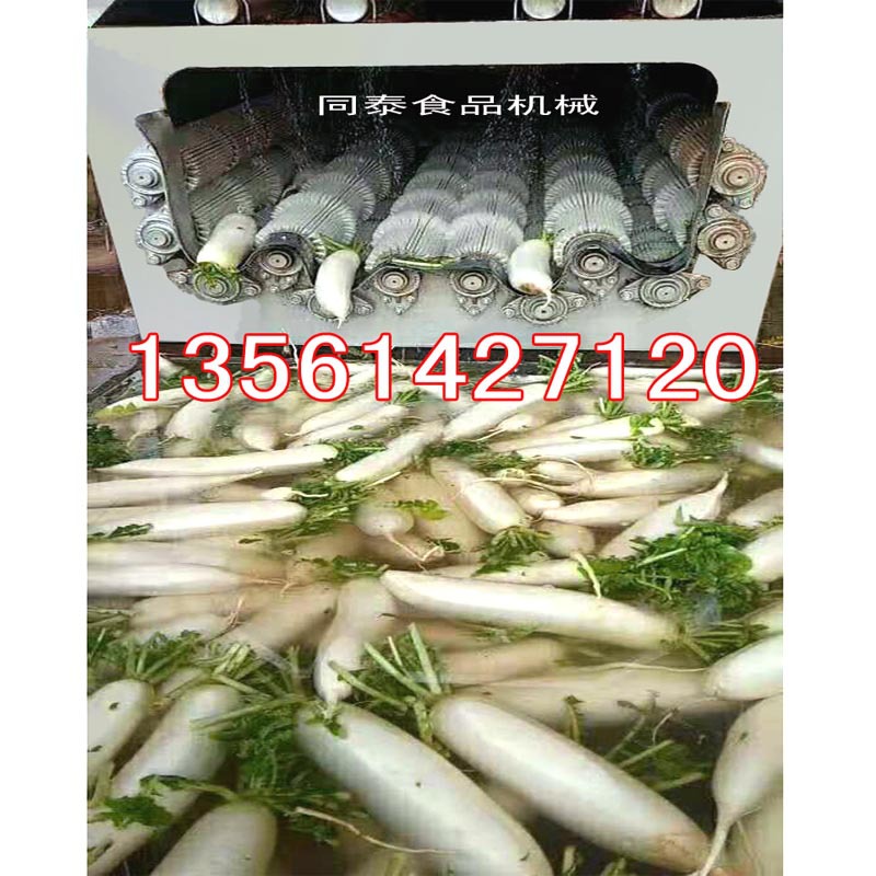 12辊白萝卜清洗机
