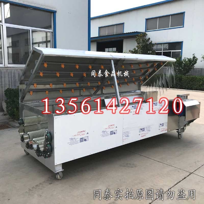 大型山药清洗去皮机 麻山药白山药漂烫蒸煮机 专业洗山药机器图3