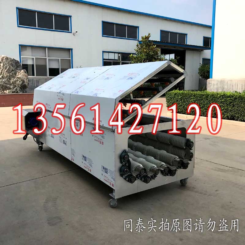 12辊萝卜清洗机3