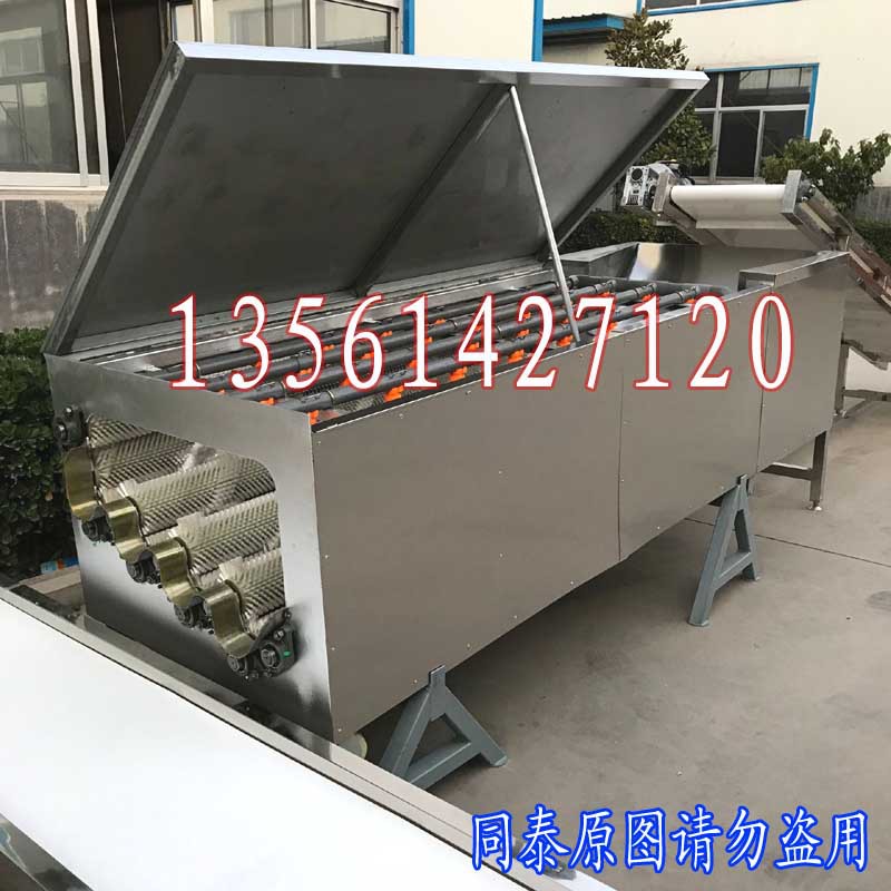 输送白萝卜清洗机1