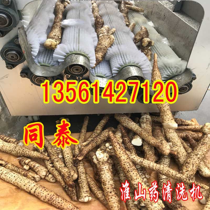 淮山药清洗机1