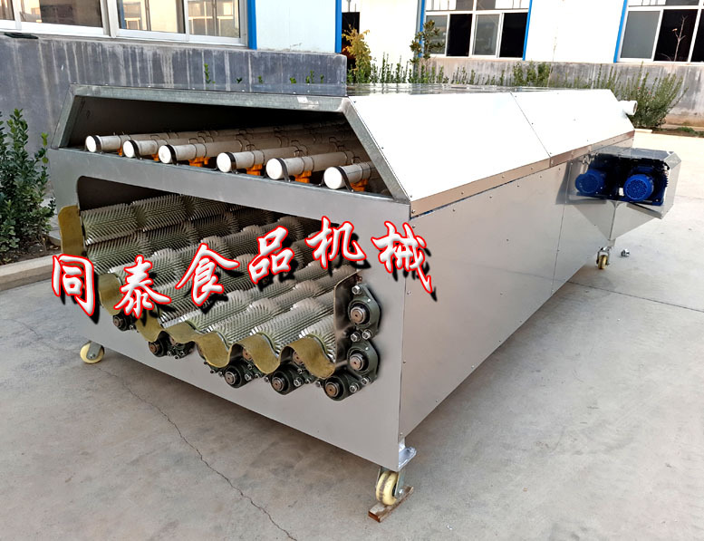 12辊萝卜清洗机2
