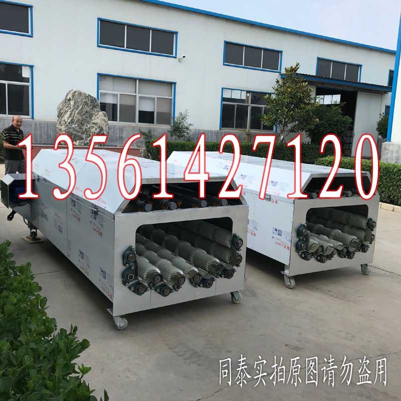 12辊萝卜清洗机4