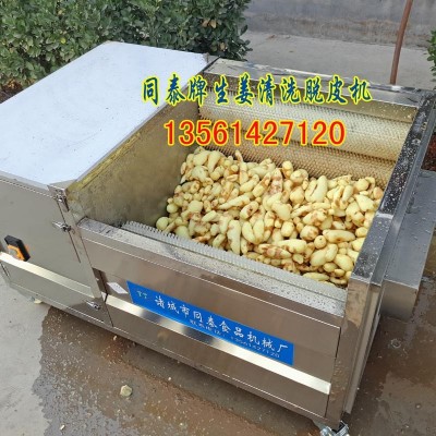 毛刷辊老姜去皮机 生姜清洗脱皮机 洗姜机 果蔬清洗去皮毛刷机