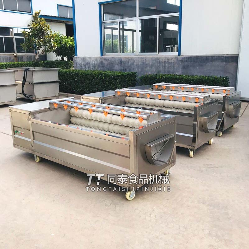 毛刷辊老姜去皮机 生姜清洗脱皮机 洗姜机 果蔬清洗去皮毛刷机图4