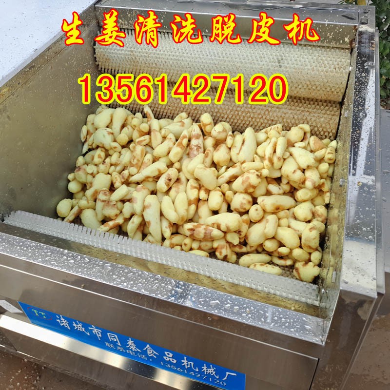 毛刷辊老姜去皮机 生姜清洗脱皮机 洗姜机 果蔬清洗去皮毛刷机图3