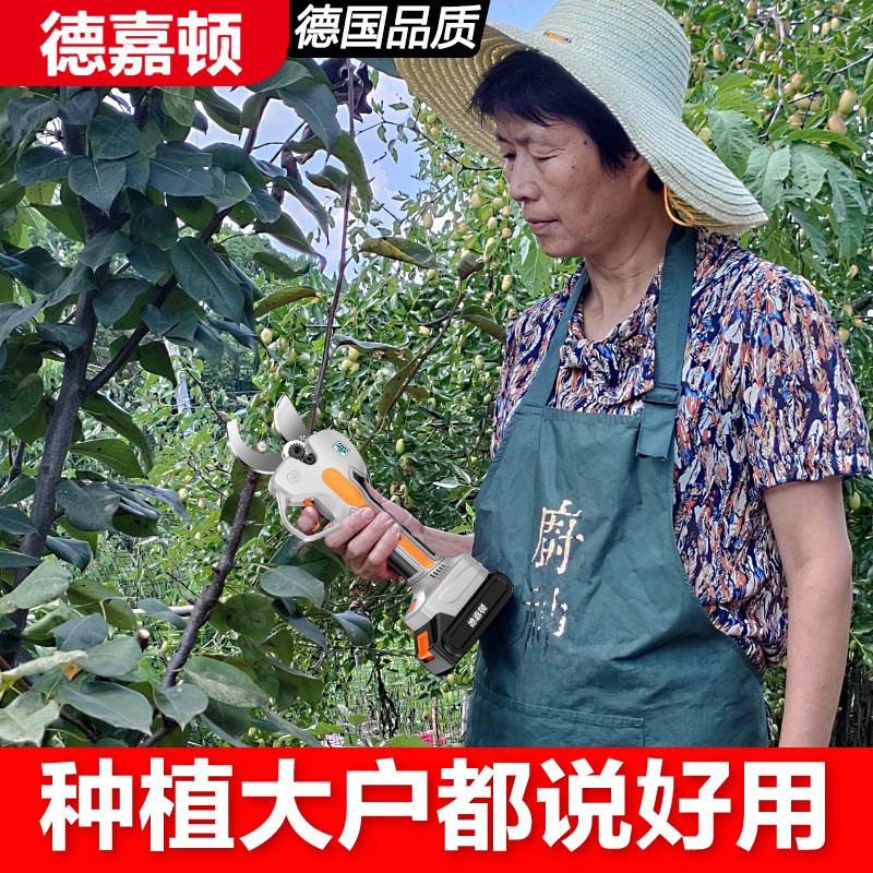 果园电动剪刀果树修枝剪充电式园林锂电剪刀剪树枝电剪子剪枝神器图4